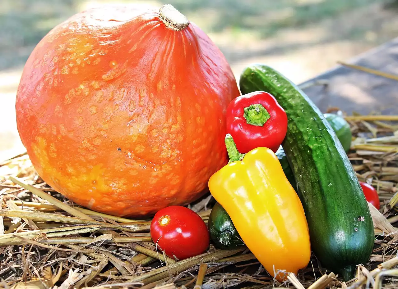 Tirer le meilleur parti des produits de saison : guide des légumes d'automne
